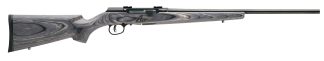SAVAGE ARMS A17 SPORTER 17WSM BL/LAM 22″