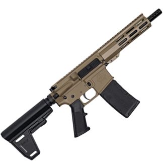 223WYLDE PSTL W/BRC 30RD FDE